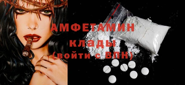 ГАЛЛЮЦИНОГЕННЫЕ ГРИБЫ Абаза